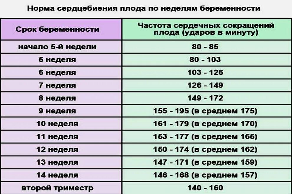 3 месяца сколько дней. Частота сердечных сокращений плода в норме. Норма сердцебиения плода на 20 неделе. Сердцебиение плода по неделям нормы таблица. Норма сердцебиения плода по неделям беременности 1 триместр.