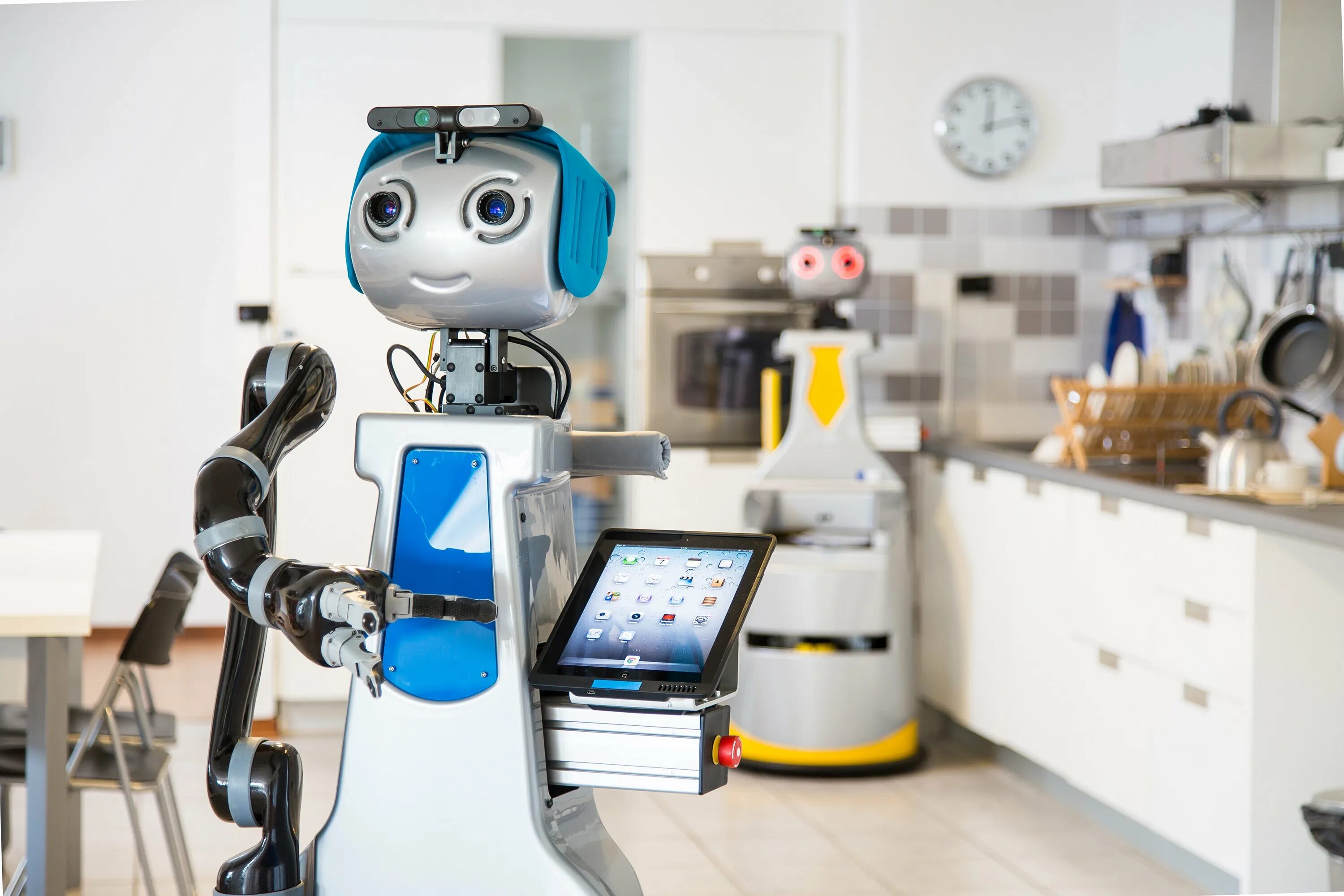 Robot assistant