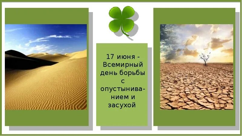 17 Июня борьба с опустыниванием. День борьбы с опустыниванием и засухой. Всемирный день опустынивания. Всемирный день борьбы с засухой.