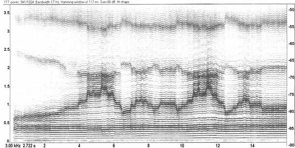 16 гц 20000 гц. Фнч для si5351. Usb спектроанализатор радиосигналов. 20000 гц звук в ваттах. Сонограмма для запоминания.