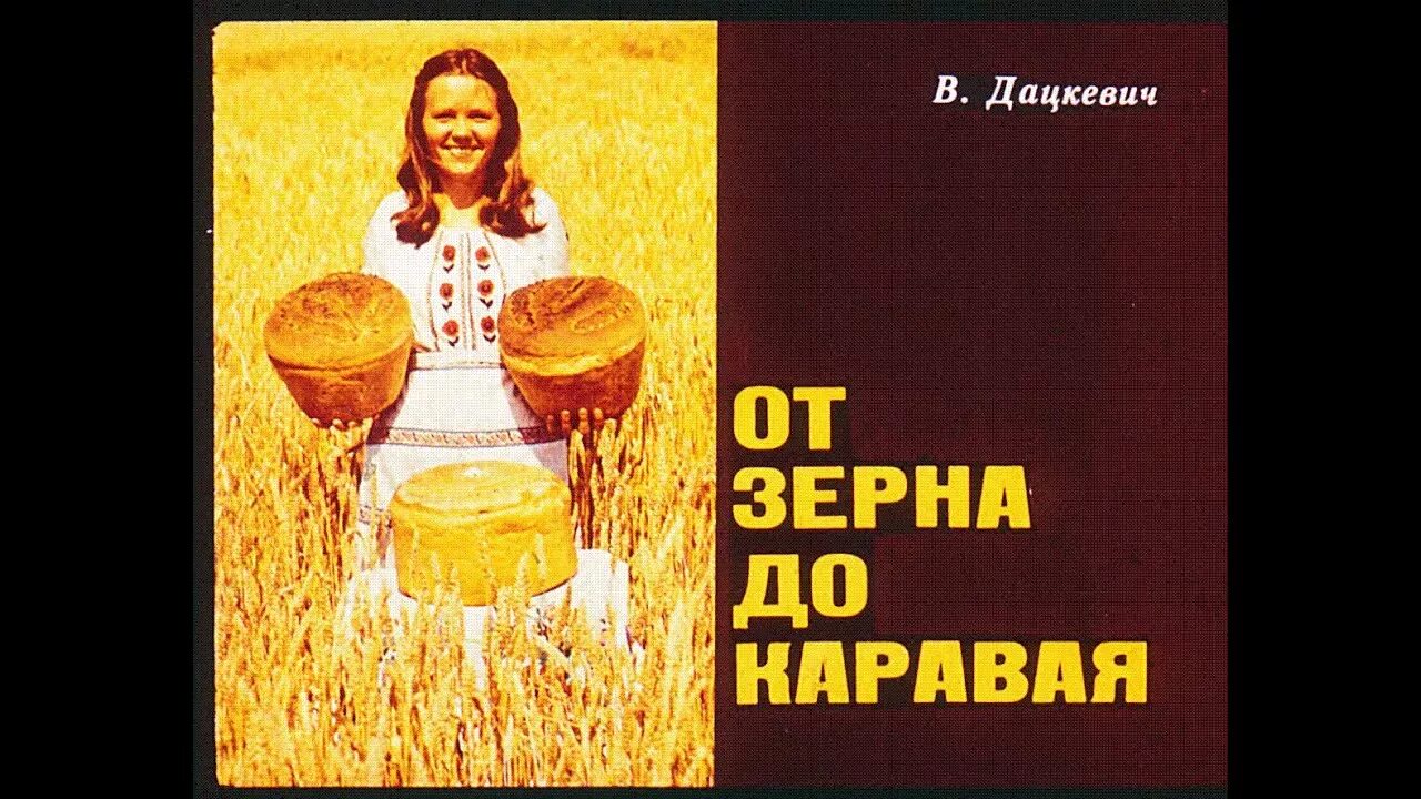 От зерна до каравая презентация. Презентация каравай. Видео от зерна до каравая. Хлеб всему голова. От зерна до каравая.