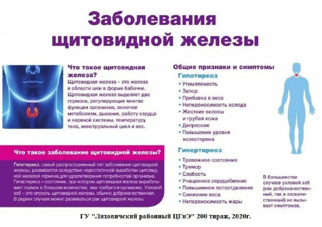 Щитовидка симптомы лечение