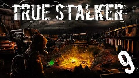 True stalker гид по прохождению