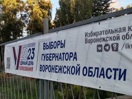 Воронеж избирательный