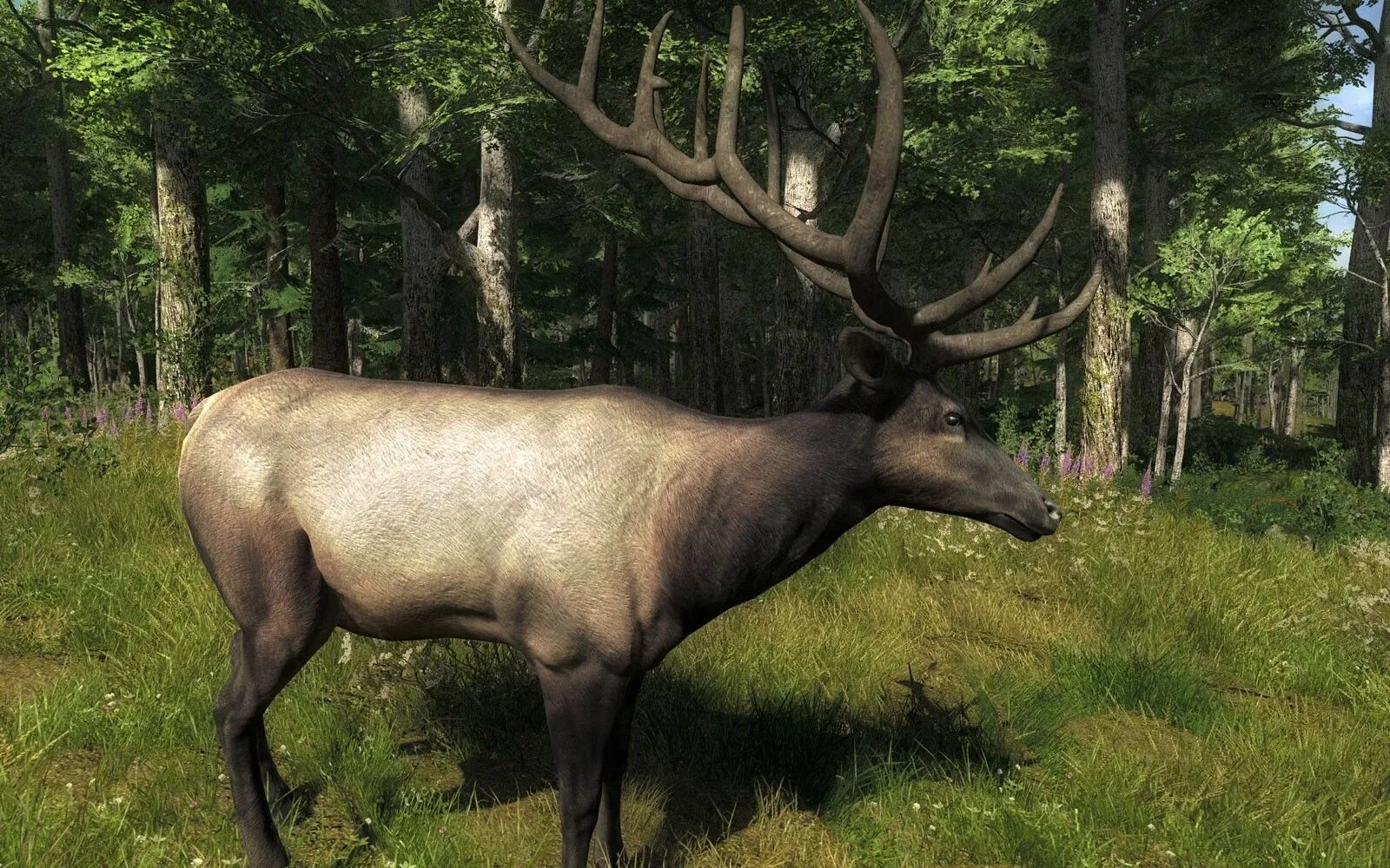 Хантер call of the wild. Blosk hunter. Хантер. The hunter. Hunting unlimited 2012 медведь.