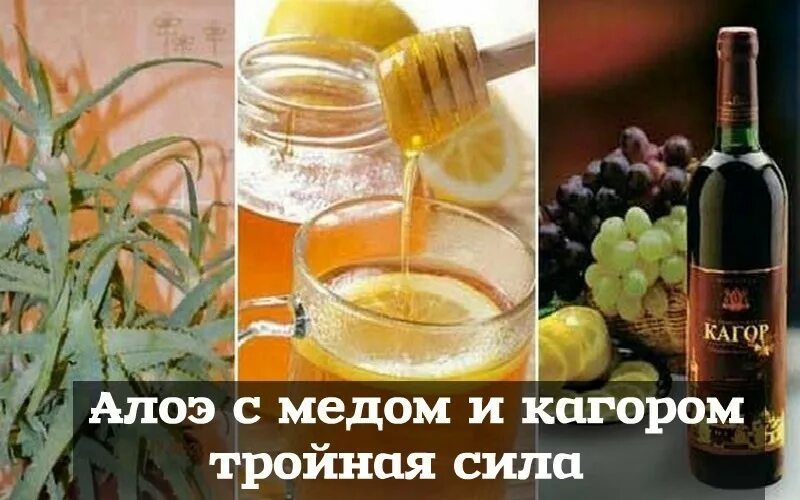 Настойка из кагора алоэ и меда. Кагор и алоэ отзывы. Вино кагор красное. Кагор и алоэ отзывы. Лекарство из алоэ, мёда и кагора.