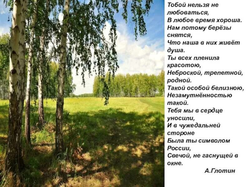 Березовые бруньки. Березы. К чему снится береза. Во сне береза приснилась. Береза остролистная.