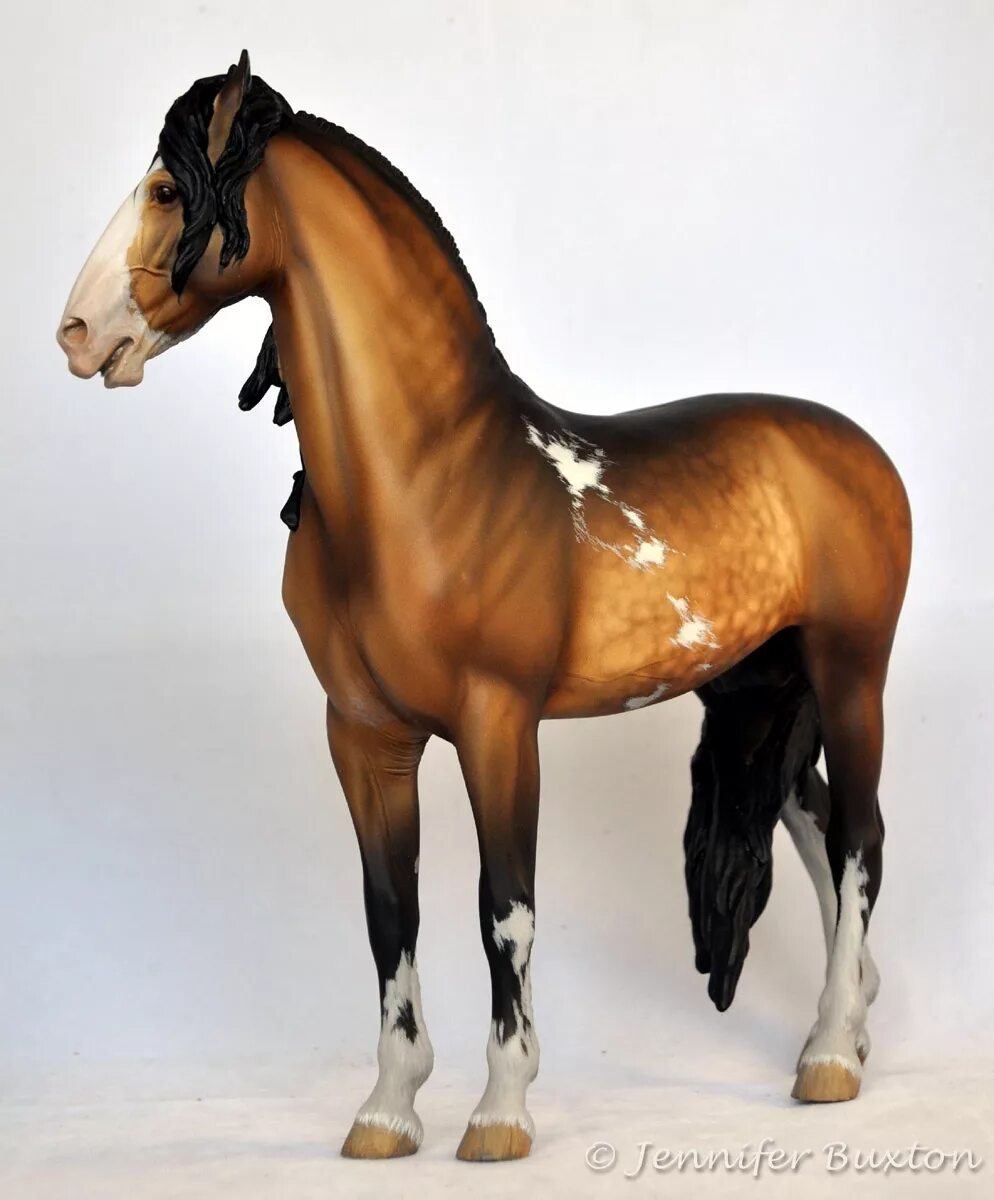 Horses model