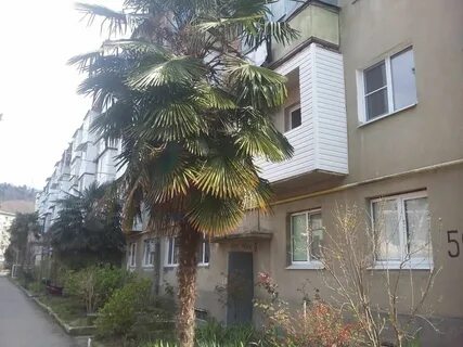 Авито лазаревское
