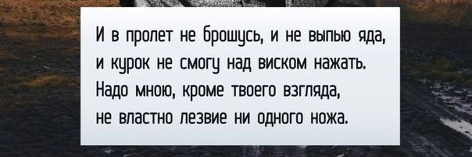 И в пролет не брошусь. Кроме твоего взгляда не властно лезвие ни одного ножа. и в пролет не брошусь и не выпью яда. а мне ни один не радостен звон кроме звона твоего любимого имени.