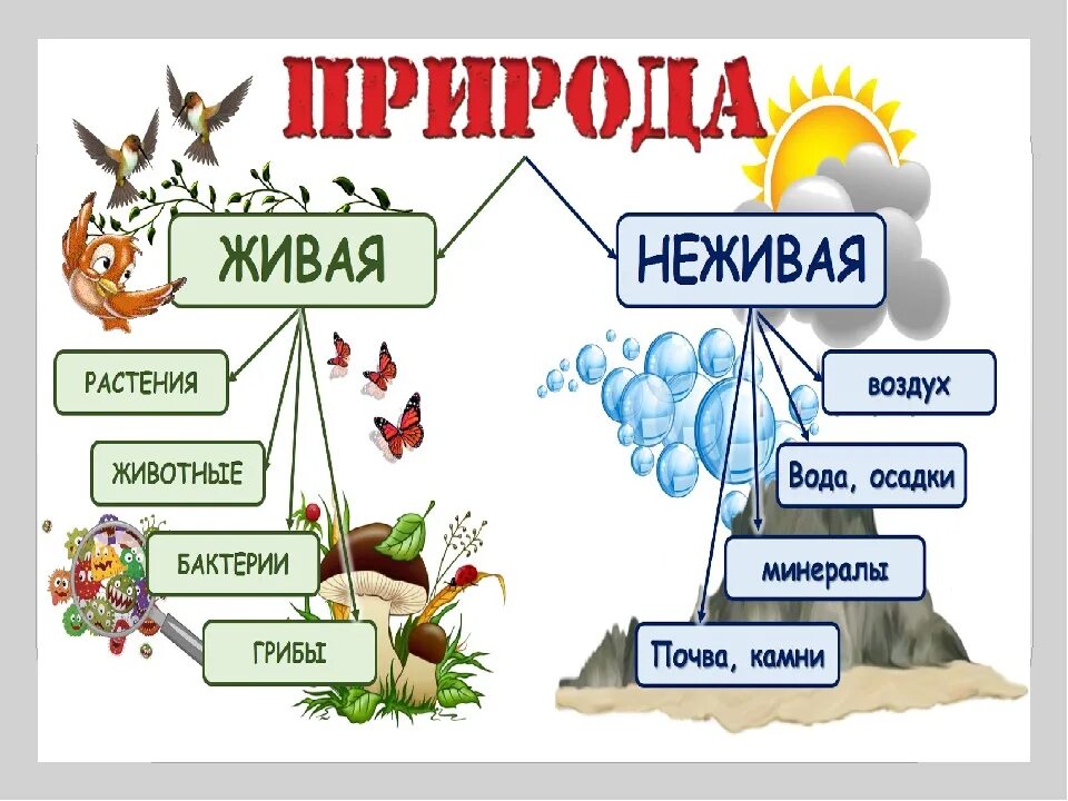 Окружающий мир названия групп