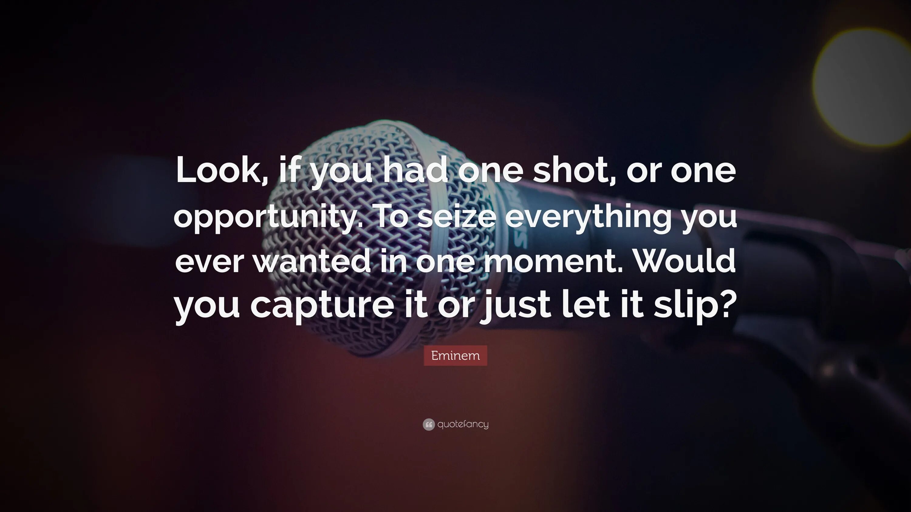 I want to be your last. To seize everything you ever wanted one moment. look if you had one shot one opportunity.