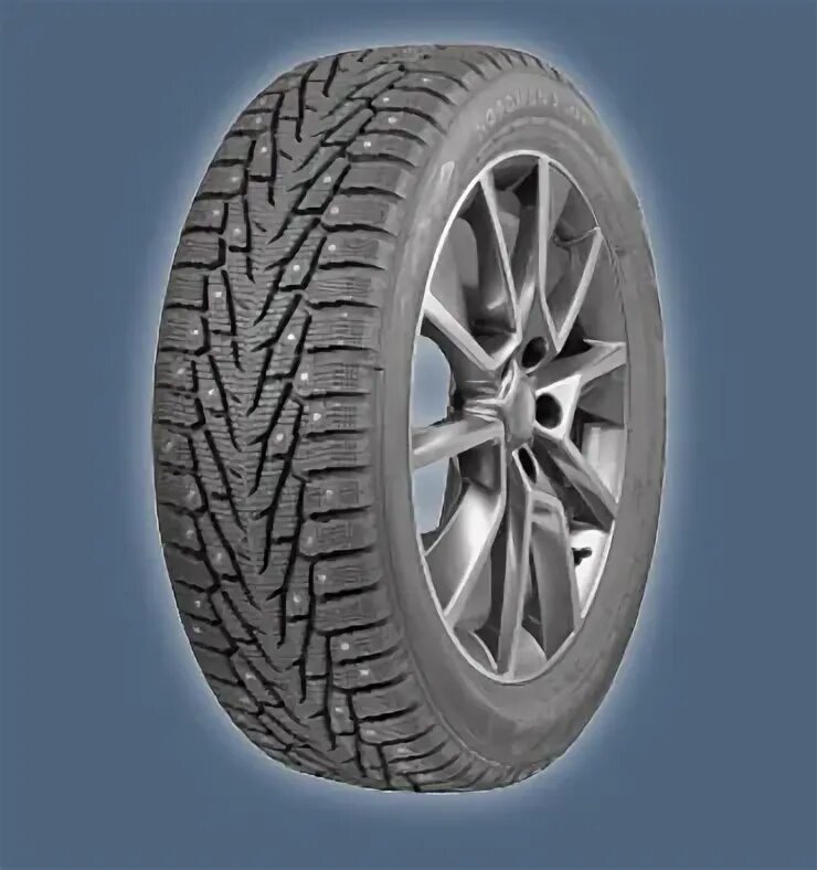 Ikon tyres 225 60 r17. Ikon Tyres Nordman 7 99t XL шип. Ikon Tyres Nordman c шип. Ikon Tyres Nordman sz2 отзывы.