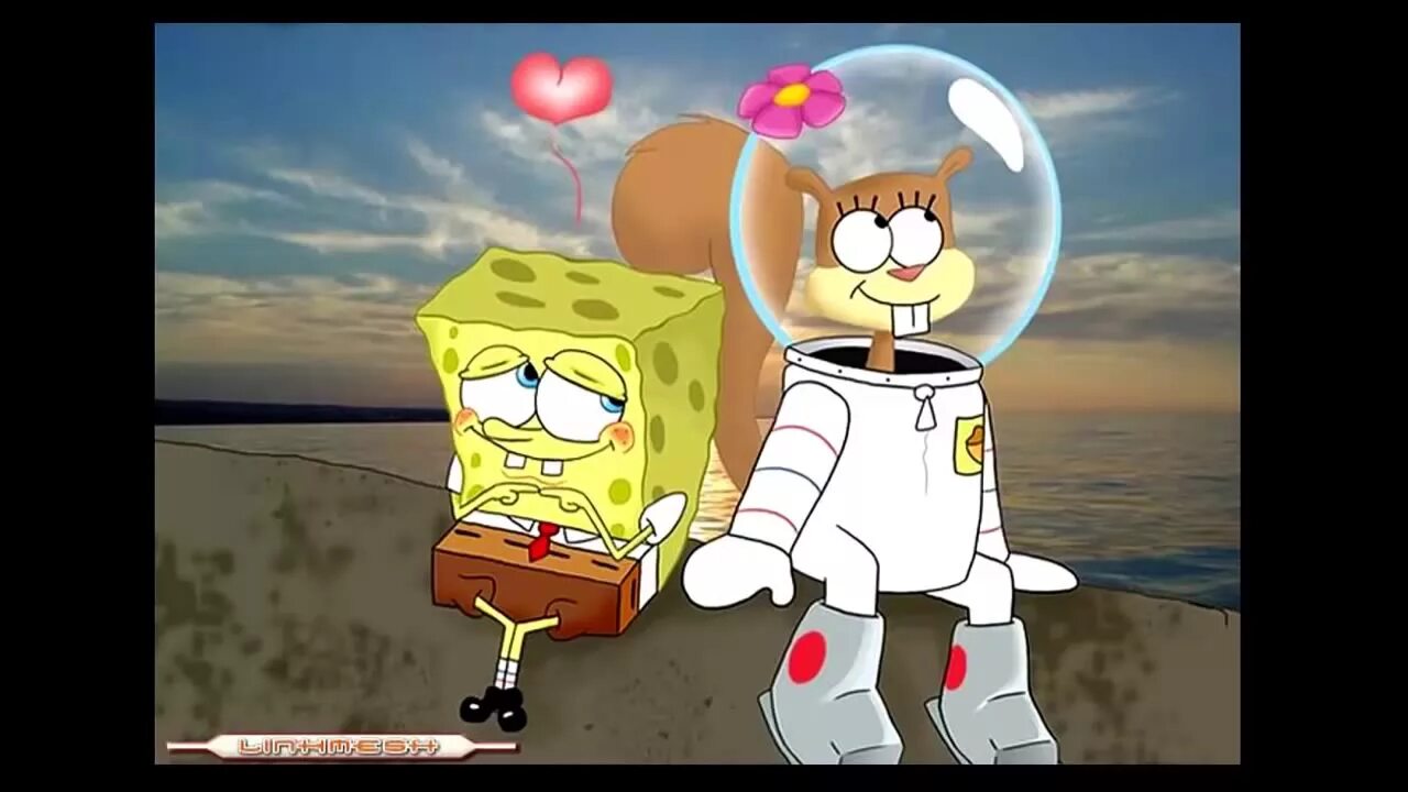 Spongebob sandy. Губка Боб Сэнди чикс. Белка Сэнди из Спанч Боба. Губка Боб квадратные Сэнди чикс. Губка Боб квадратные штаны Синди.