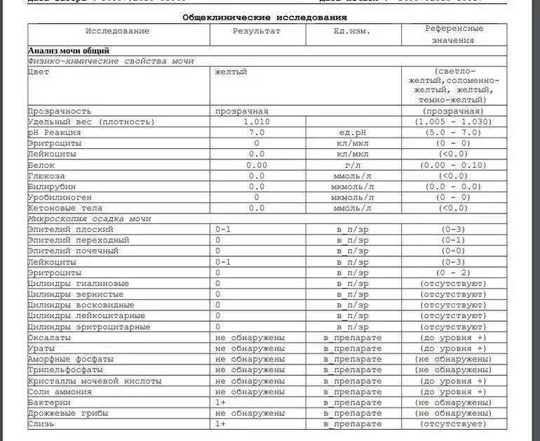 Слизь в умеренном количестве