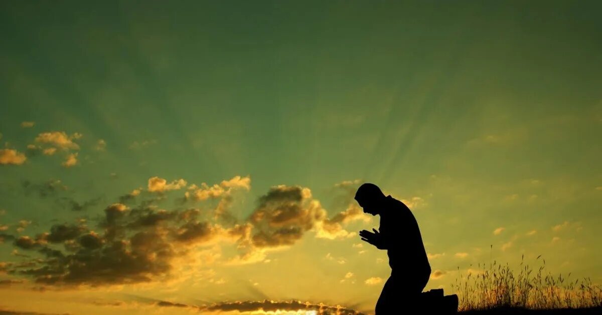 Книга жизнь бога. Человек молится. Молится на коленях. Человечек молится. Смирение человека.