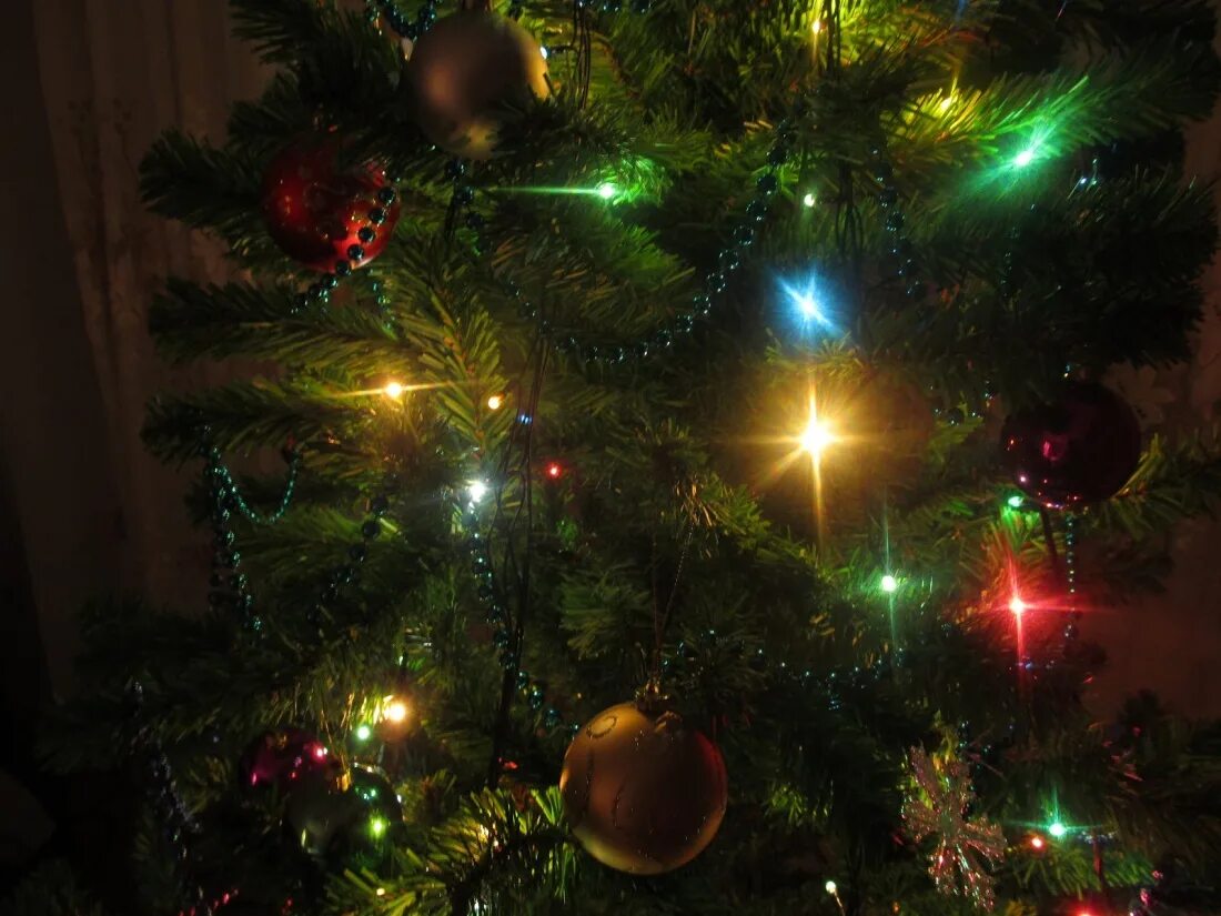 новый год в темноте в какой стране. красивая новогодняя елка. новогодняя ночь. новогодняя елка в темноте. огни ночного города зима.