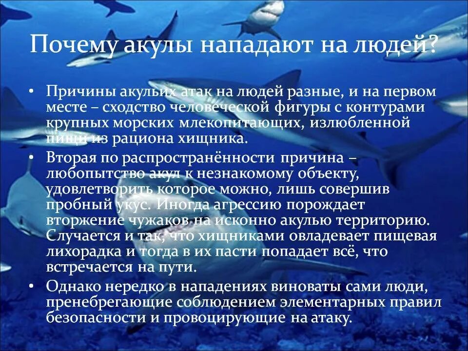 Почему акулы нападают на людей. Почему акулы боятся дельфинов. Нападение дельфинов на людей.