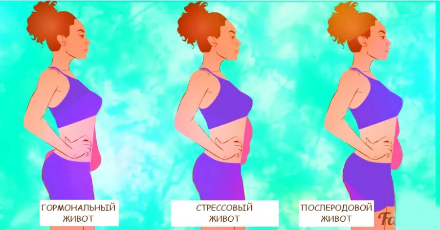 Кортизоловый живот что это. Гормональный живот. Типы живота у женщин. Гормональный животик у женщин. Гормональный живот у женщин причины.