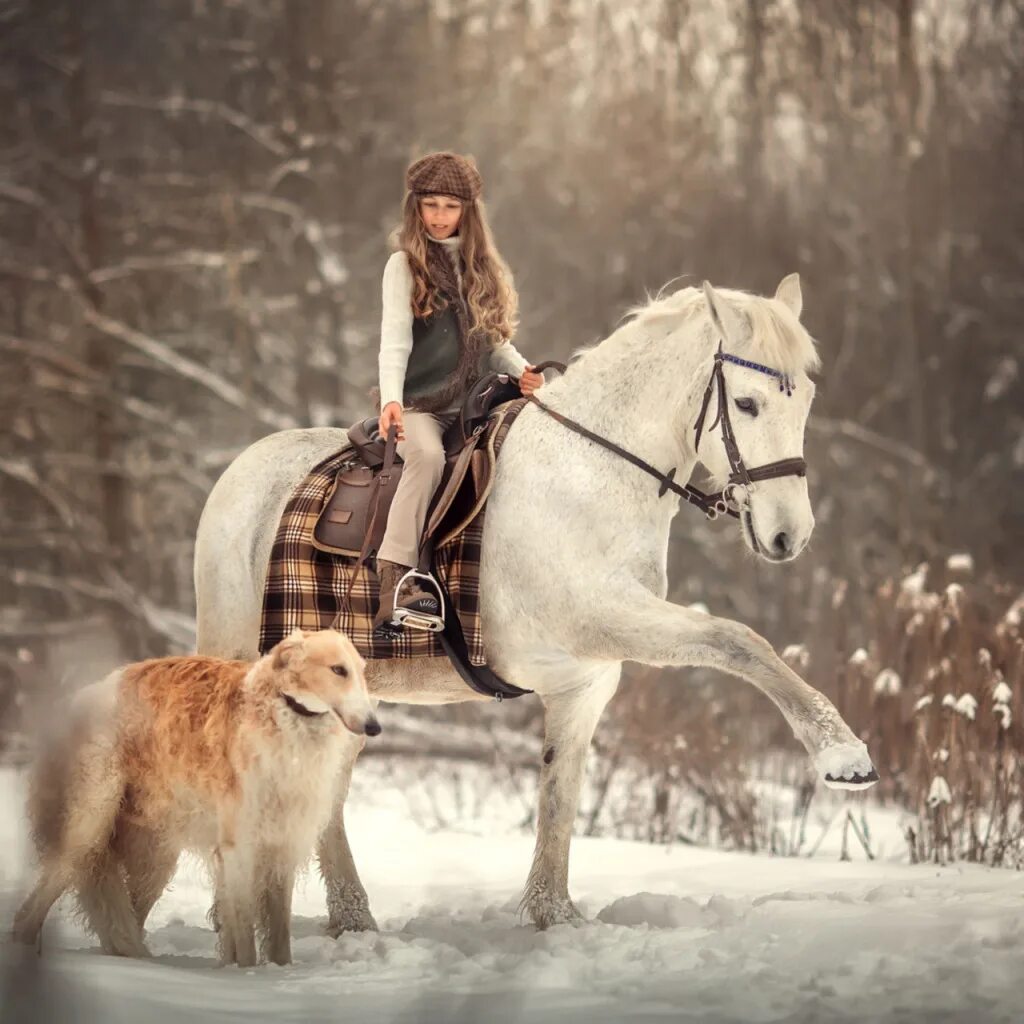 Зимняя фотосессия с лошадкой. Путник на лошади. Конь девушка собака. Всадница. Всадница на лошади.