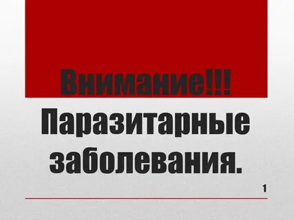 Помощник врача эпидемиолога