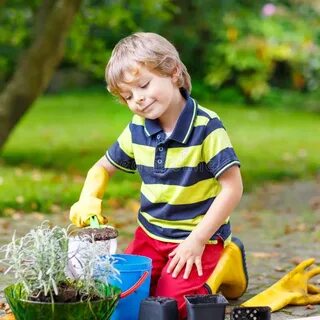 Planting boy
