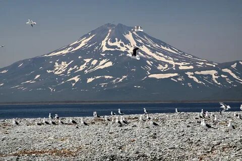 Камчатка 18