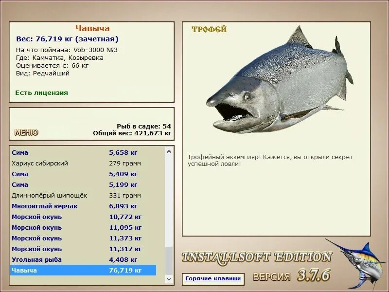 Русская рыбалка 3 7 4 Великие озера чавыча. Чавыча вес рыбы. Чавыча максимальный вес. Русская рыбалка 3 7 4 Великие озера МВ. Максимальный вес рыб