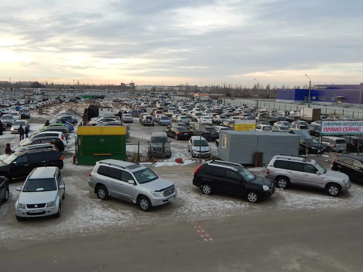 Барнаул пробег ру. Барнаульский авторынок. Новосибирский авторынок. Авторынок Бийск. Авторынок столица Новосибирск.