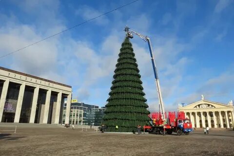 Ели минск