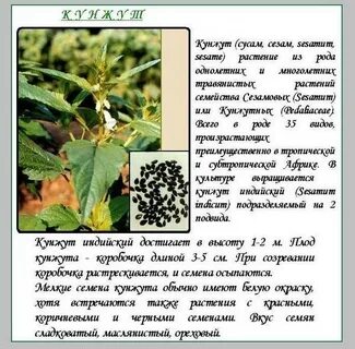 Кунжут не переваривается