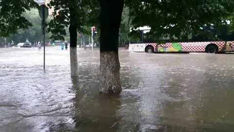 Видео 2013 года