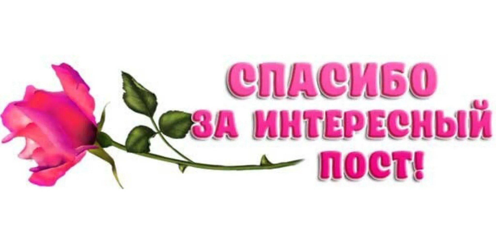 17 спасибо. Спасибо за игнор. спс за игнор. картинка спасибо за игнор. спасибо за игнор очень приятно.
