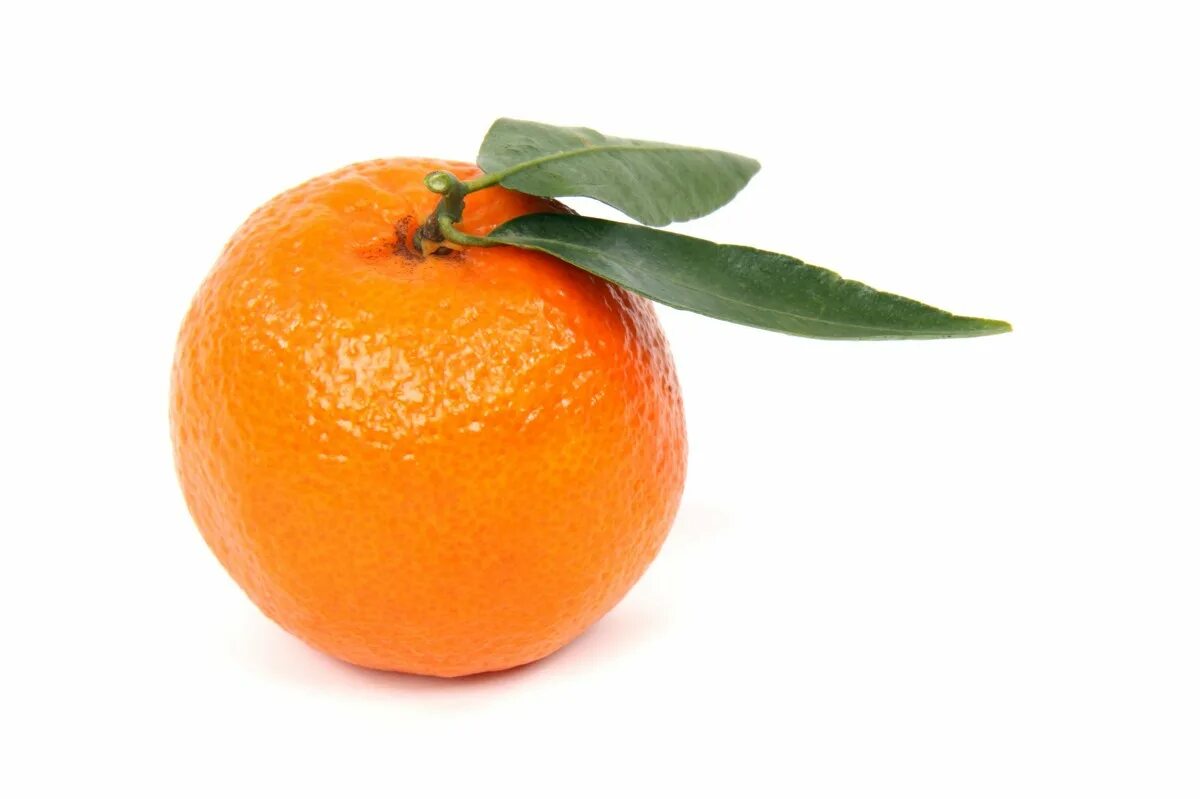 Мандарин детям. Мандарин оранжевый клементин. mandarina_111. мандарин на белом фоне. мандарин без фона.