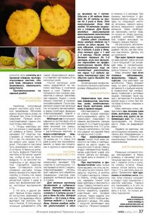 Маклюра сделать настойку рецепт