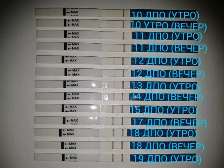 Подсадка эко отзывы