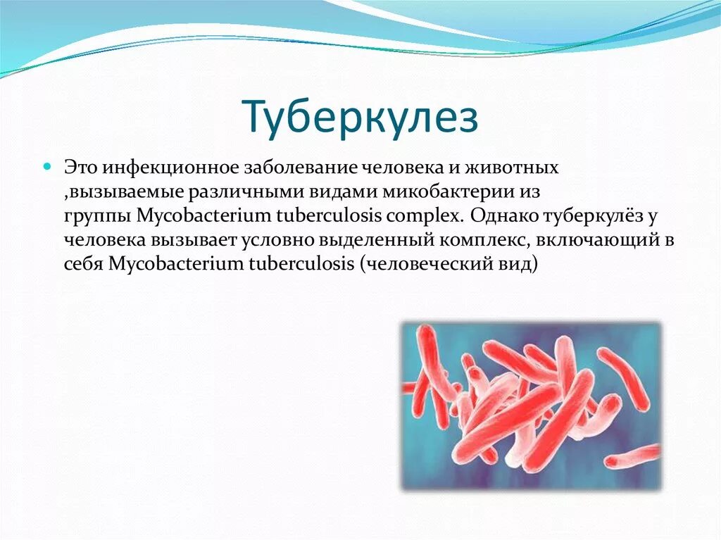 Туберкулез это. Туберкулез презентация. Туберкулёз это заболевание. Туберкулез это инфекционное заболевание.