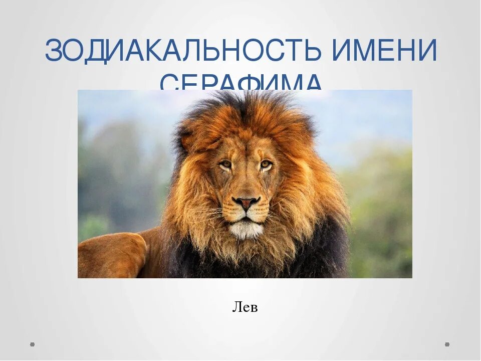 Есть имя лева. Тайна имени лев. лева имя. лев происхождение. тайна имени лёва.