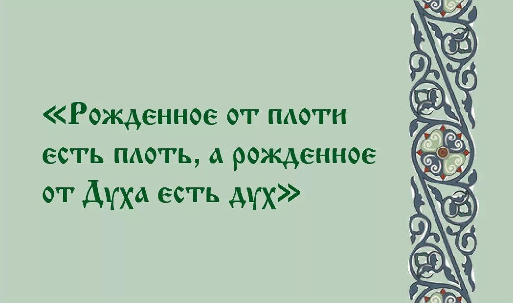 Не плоть а дух. Рождённое от плоти есть плоть рождённое от духа есть дух. плоть от плоти , а рожденное духа есть дух. поступайте по духу и вы не будете исполнять вожделений плоти. «рождённое от плоти есть плоть»..