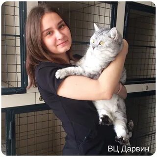 Дарвин ветклиника ульяновск верхняя