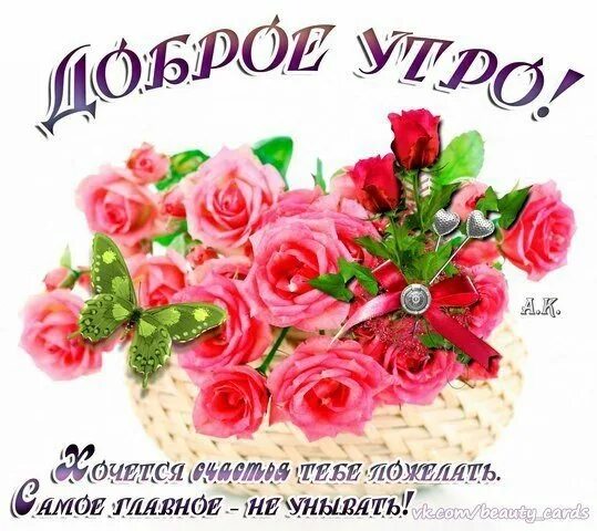 Спасибо пожалуйста по татарски. Спасибо на татарском. благодарю на татарском языке. стикеры спасибо на татарском языке. спасибо за поздравления на татарском языке.