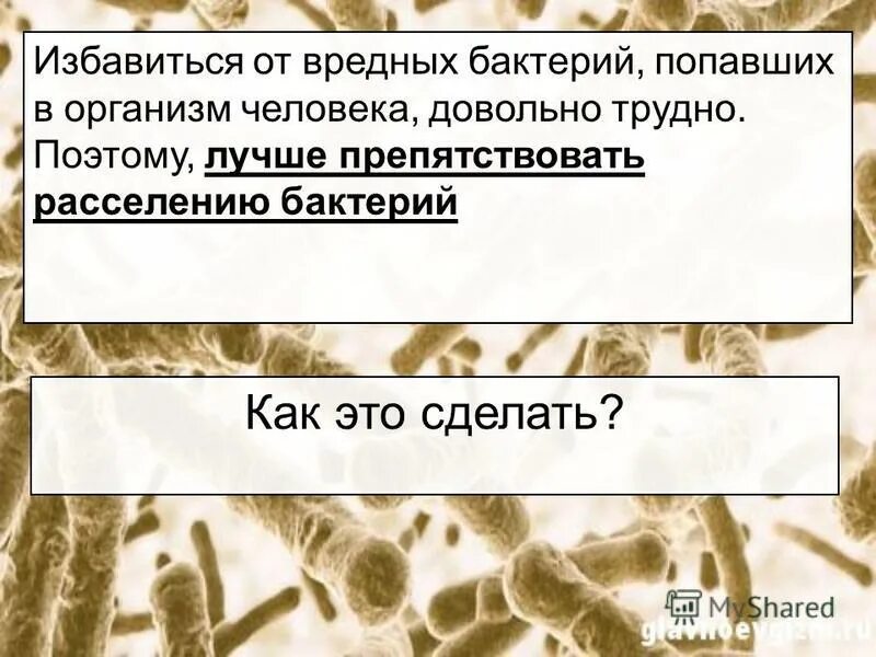 Схема лечения бактериального вагиноза. Возбудитель бактериального вагиноза. Антибактериальная терапия при бактериальном вагинозе. Схема лечения баквагиноза препаратами. Схема лечения баквагиноза препаратами.