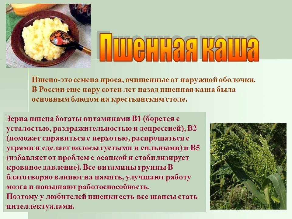 Польза каш для пожилых. Чем полезна пшенная каша. Польза пшенной каши для организма. Пшенная каша польза. Пшенная каша полезна для организма.