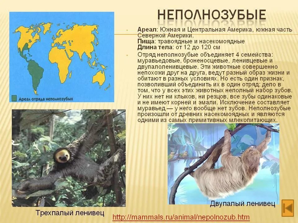 Северная америка ареалы