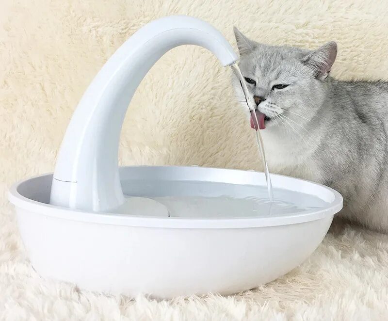 Электропоилка фонтан для кошек. Питьевой фонтан поилка Pioneer Pet "Swan" (лебедь). Автоматическая поилка фонтанчик для кошек. Pet Water Fountain поилка. Поилка фонтан для кошек купить