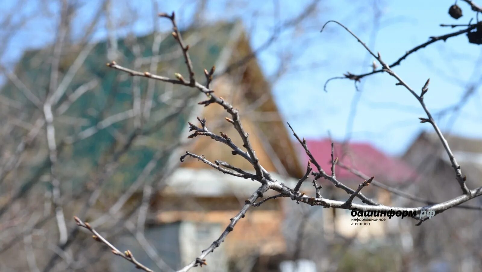 Когда в башкирии потеплеет 2024 август. День летнего солнцестояния. Каким бывает ветер весной. Когда в башкирии потеплеет 2024 август. День солнцестояния.