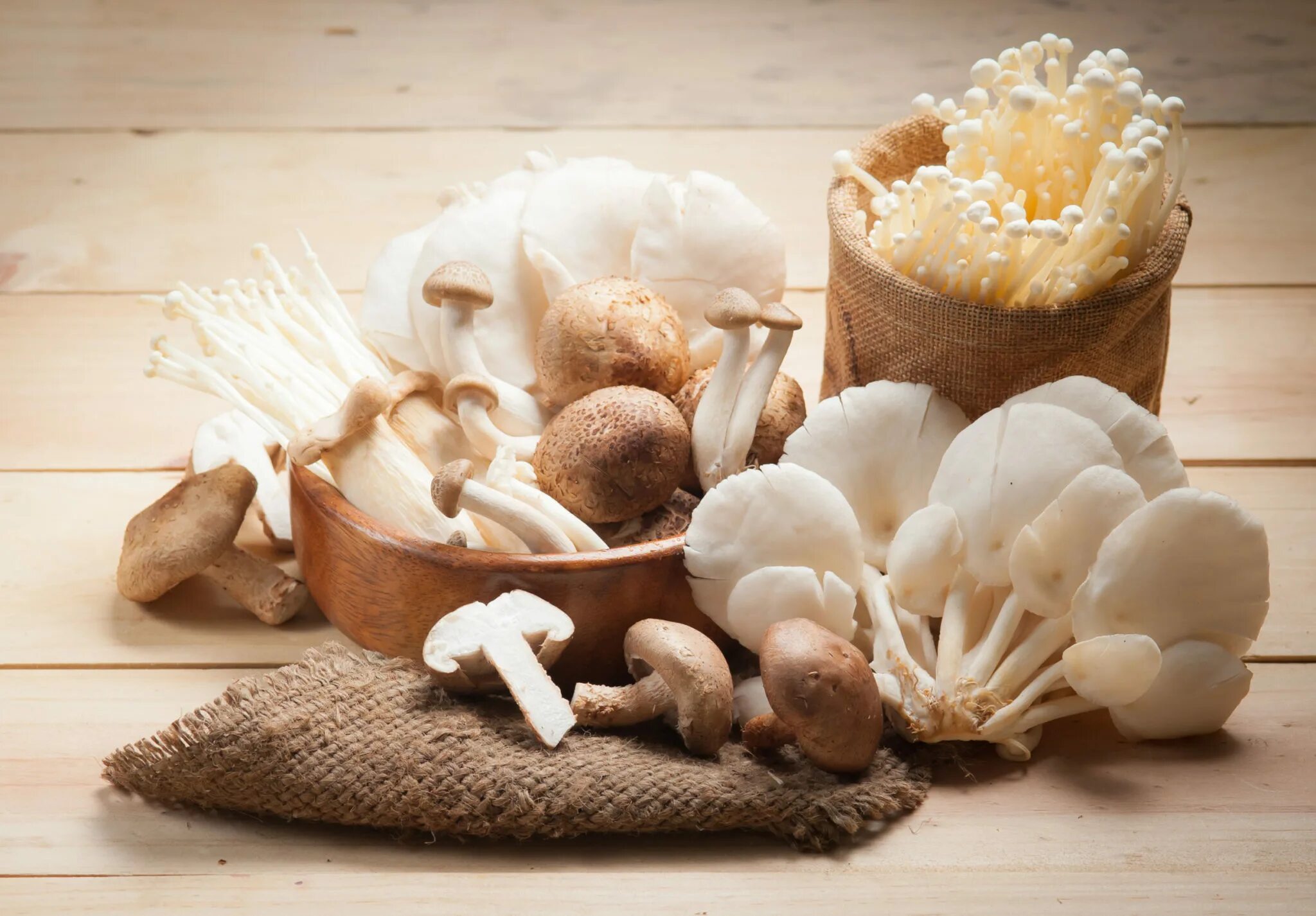 Грибы еда фото. Грибы на пищевых продуктах. Mushroom Nutrition. Грибы - во закусон!. Есть грибы беременной