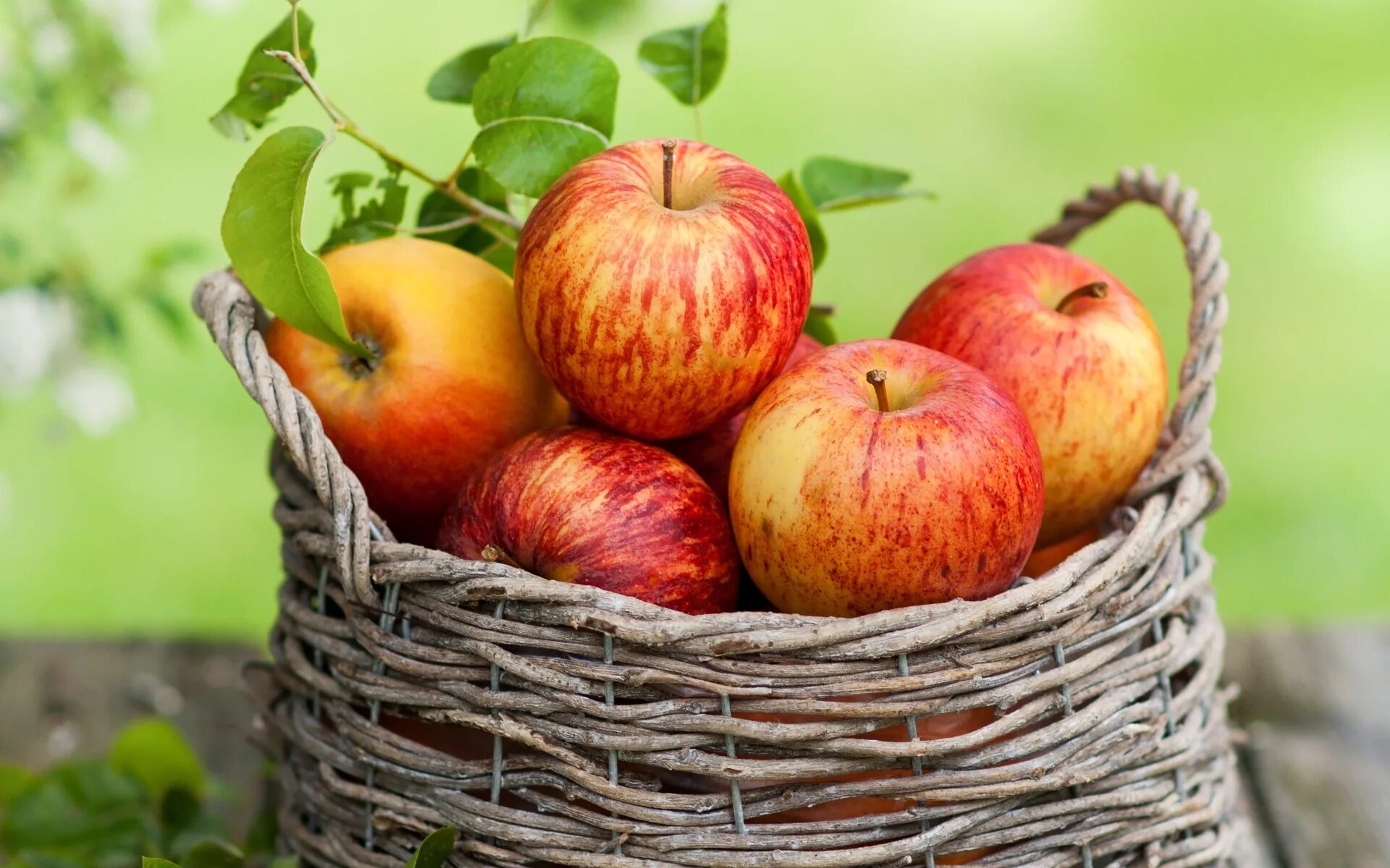 Осенние фрукты. Сочное яблоко. Осенние яблоки. Корзинка с яблоками.