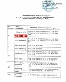 101 автобус нерюнгри расписание 2024