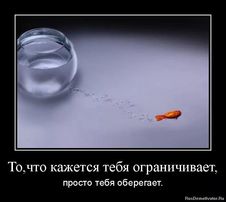 кажется правда